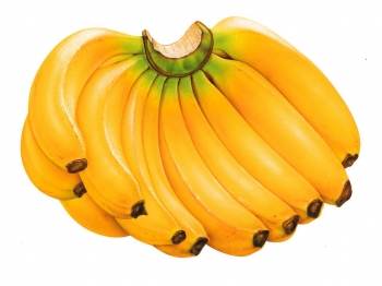 Fai attività fisica? Il tuo organismo chiede… banane!