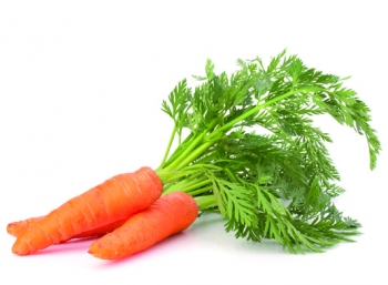 La carota, un prezioso alleato per l’estate
