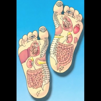 La “lettura” dei piedi per capire le cause  dei disturbi di stomaco e intestino