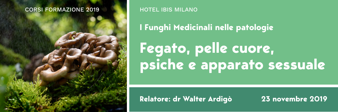 Corso Di Micoterapia I Funghi Medicinali Nelle Patologie Fegato Pelle Cuore Psiche E Apparato Sessuale 23 Novembre 2019 Milano L Altra Medicina Magazine