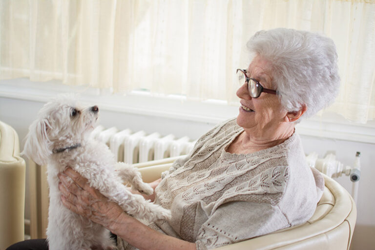 Festa dei Nonni e pet therapy – 2 ottobre, Roma