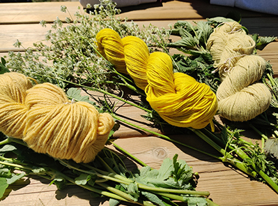 Corso base di tintura naturale con erbe, fiori, frutti, radici…