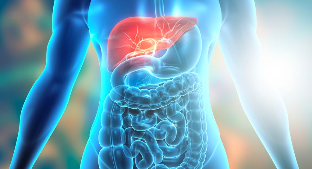 La salute del fegato: quanto ne sappiamo?