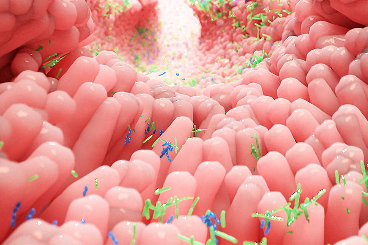 Nel microbiota le possibili soluzioni contro Celiachia e Malattie Infiammatorie croniche intestinali