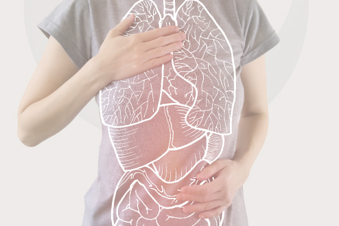 Corso di approfondimento in medicina omeosinergetica 3 livello – Il linguaggio degli organi
