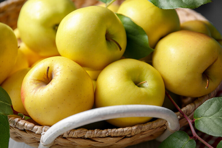 Le mele si rivelano antinfiammatori naturali