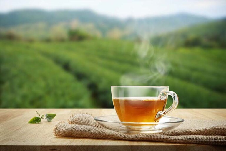 Un tè per ogni momento: proprietà e benefici di una tazza al giorno