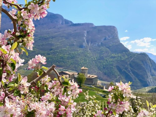 DOLCE  LA PRIMAVERA IN VAL DI NON!