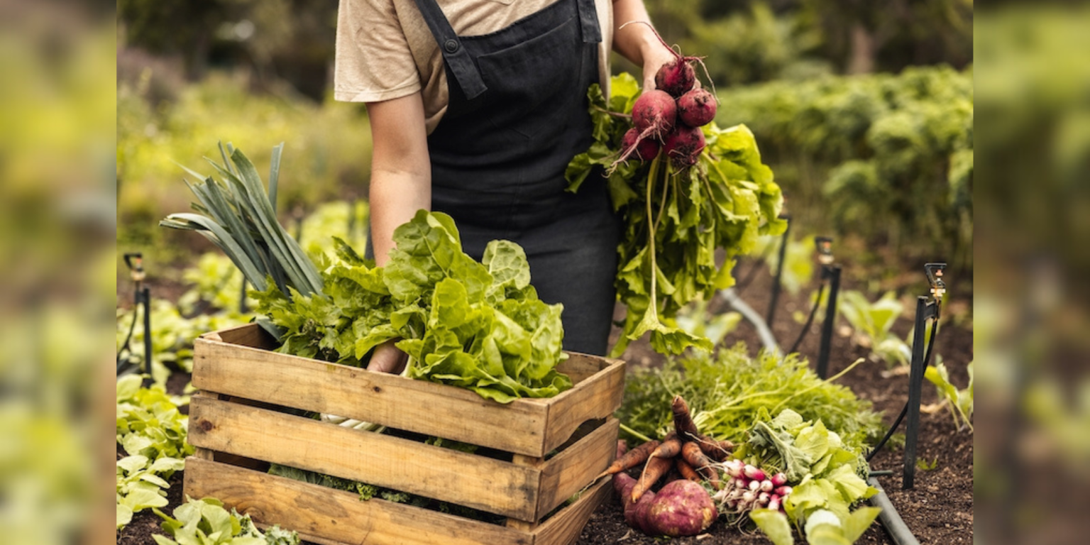 prodotti biologici, medicina di segnale, alimentazione biologica