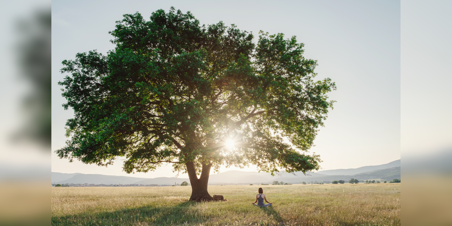 le radici, le nostre radici, importanza del passato