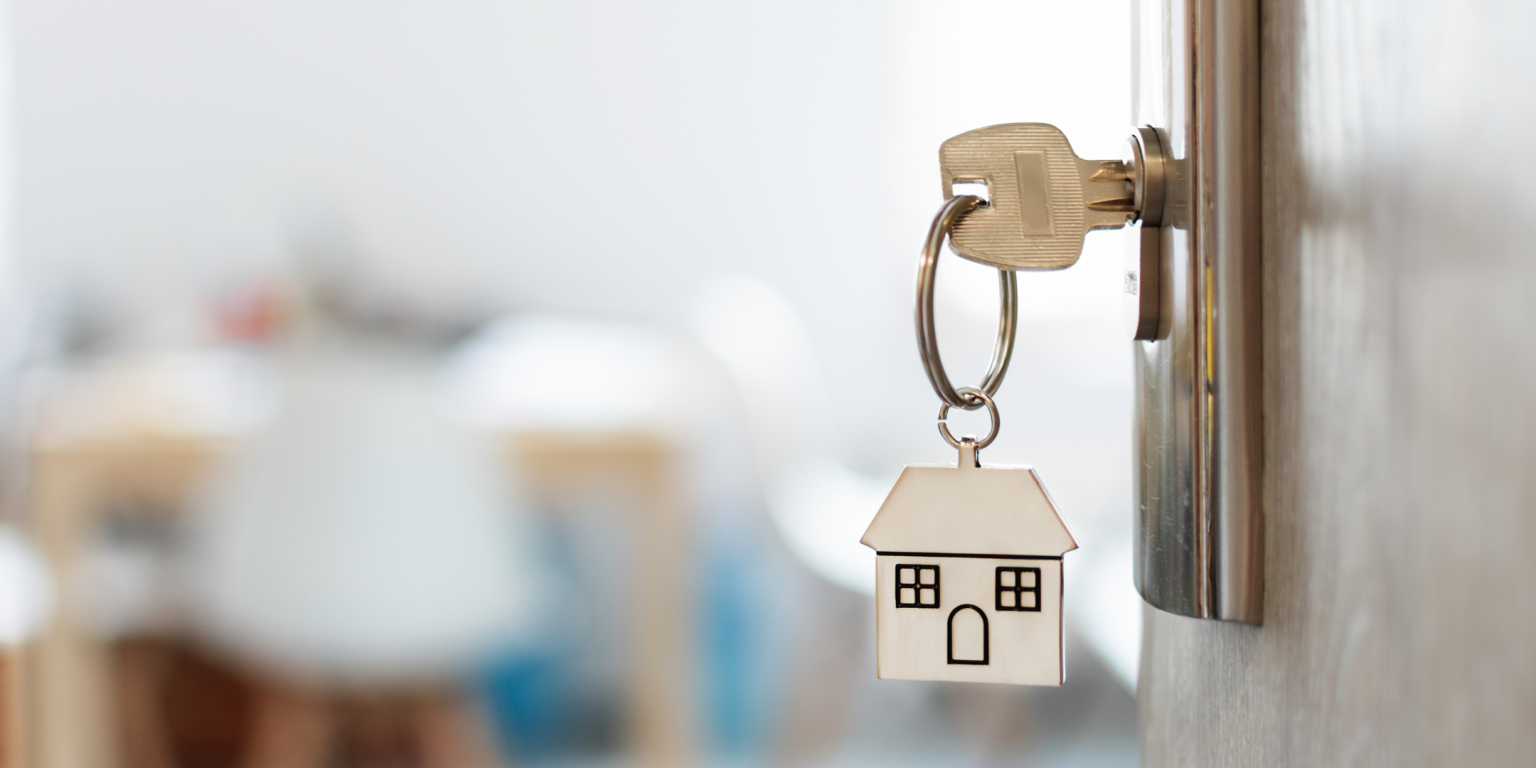 il legame con le radici, l'importanza delle radici, i ricordi del passato