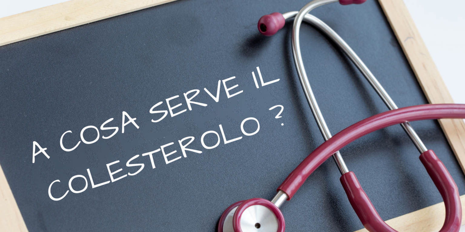 A cosa serve il Colesterolo? a cosa serve il colesterolo, la funzione del colesterolo, i benefici del colesterolo