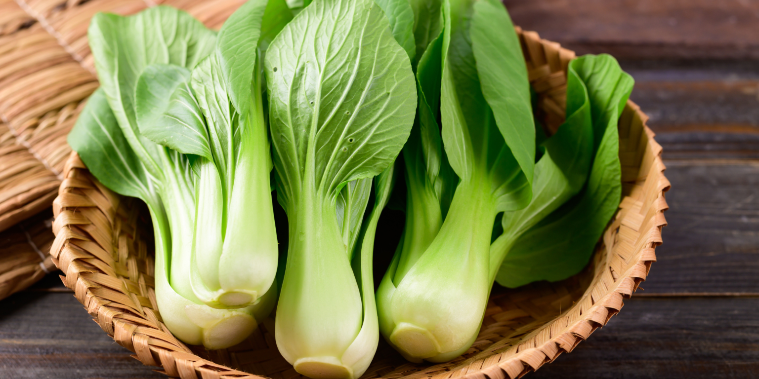 Che cos’è il Pak Choi pak choi, come si cucina il pak choi