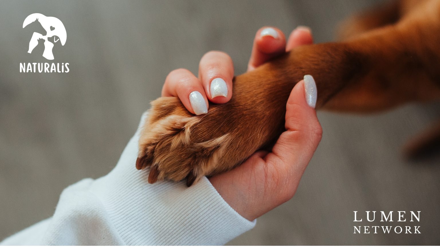 La Relazione tra Uomo e Animale Domestico: un Percorso di Salute e Crescita